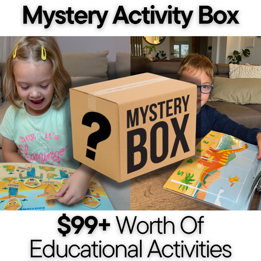 Mystery Activity Box (One Time Offer)