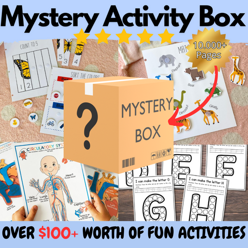 Mystery Activity Box (One Time Offer)