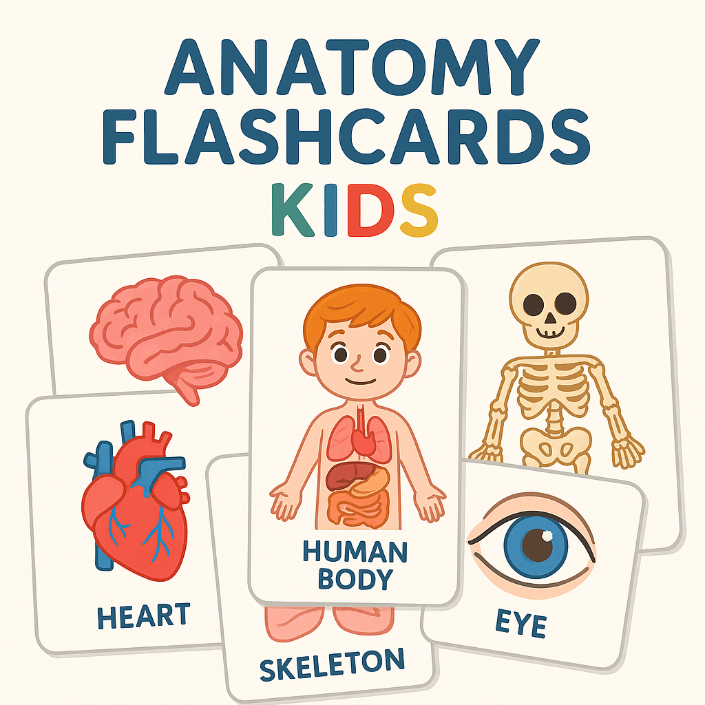 Anatomy Flashcards For Kids