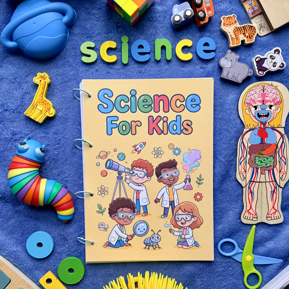Fun Study Items Fun Facts Bundle – Fun Study