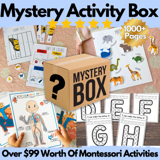 3 Mystery Activity Boxes (One Time Offer)