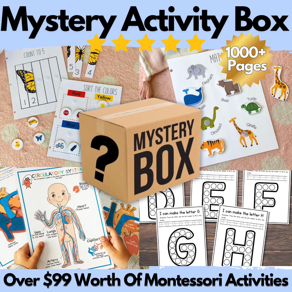 3 Mystery Activity Boxes (One Time Offer) – Fun Study