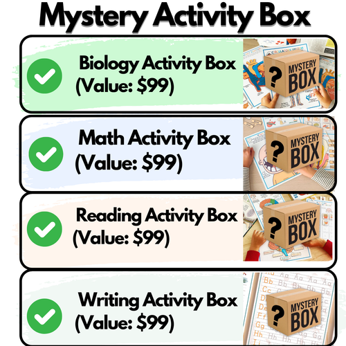 Mystery Activity Box (One Time Offer)