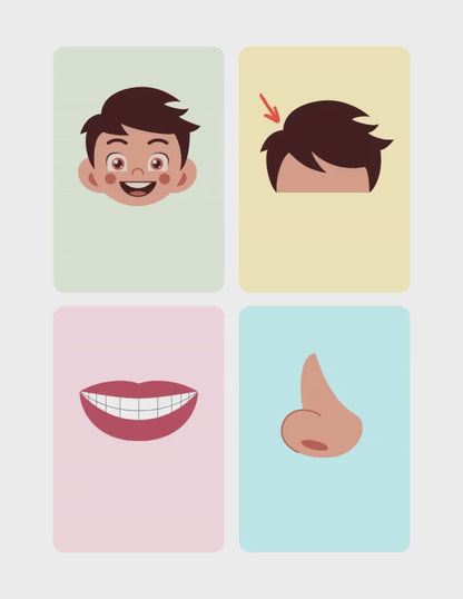 Anatomy Flashcards For Kids